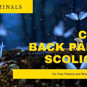 Fix Back Pain & Scoliosis | Spinal Readjustment Subliminal Affirmations