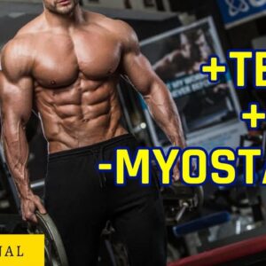Testosterone + HGH Booster and Myostatin Inhibitor Subliminal Affirmations - 432hz Water Sounds