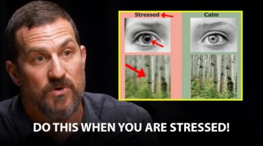 "You Will Never Be Stressed Again" | Andrew Huberman