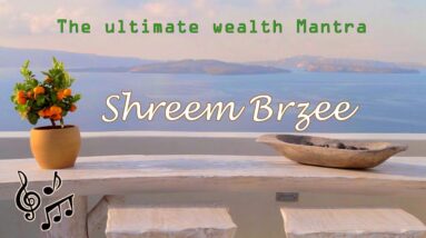 Shreem Brzee Song - 4k