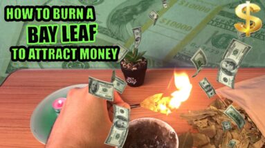 How To Burn Bay Leaves For Money - A Bay Leaf a day to Manifest Prosperity
